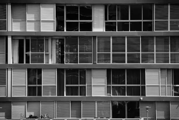 Black and White Windows