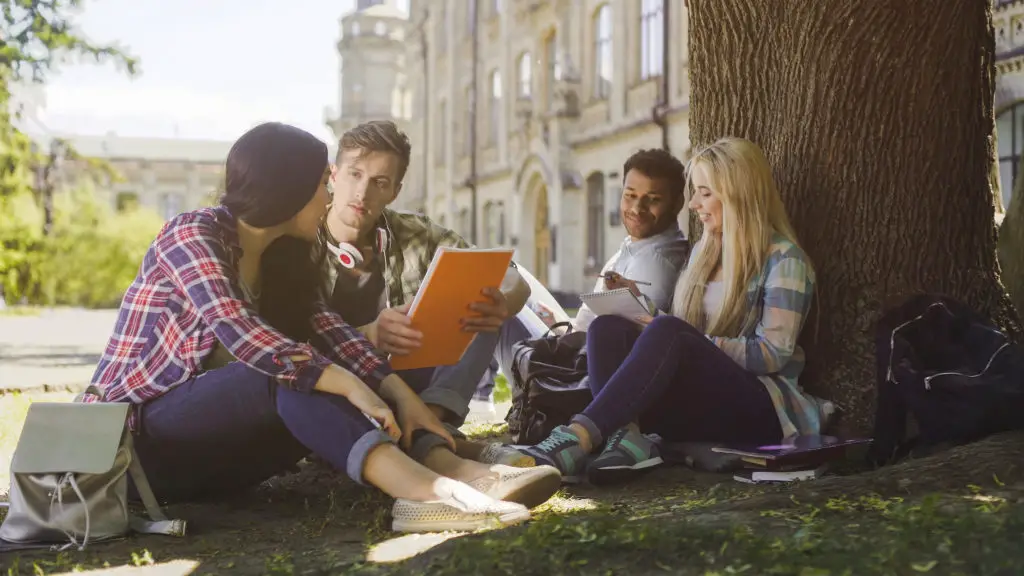 College students having discussion under tree on campus, preparing for exams