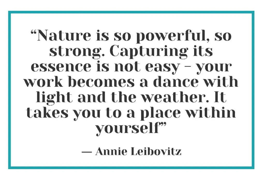 "Nature is so powerful, so strong. Capturing its essence is not easy - your work becomes a dance with light and the weather. It takes you to a place within yourself." ― Annie Leibovitz