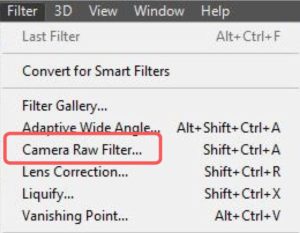Filter Tab - Camera Raw Location