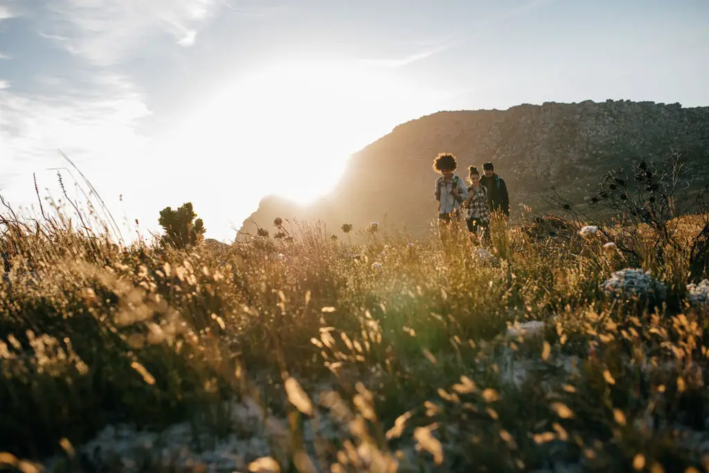 Friends hiking in nature on a sunny day.