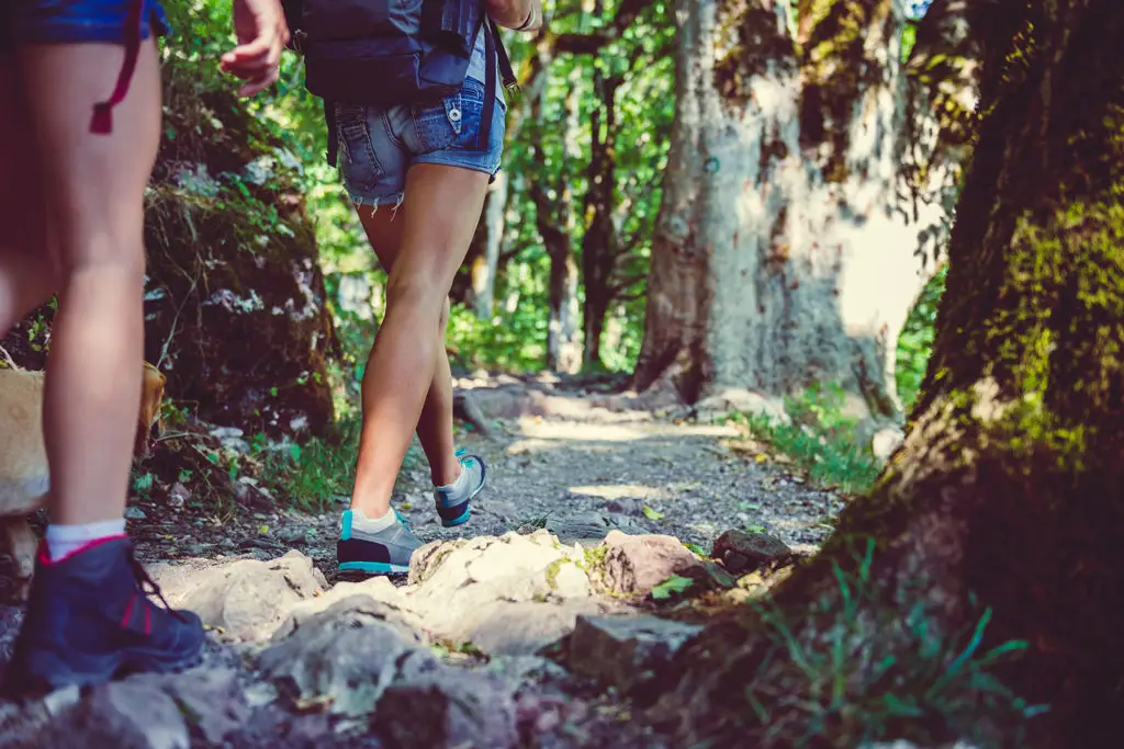 Hiking in the forest